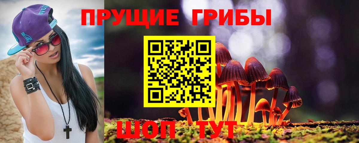 Тара  Галлюциногенные грибы Magic Shrooms  Вход с VPN 
